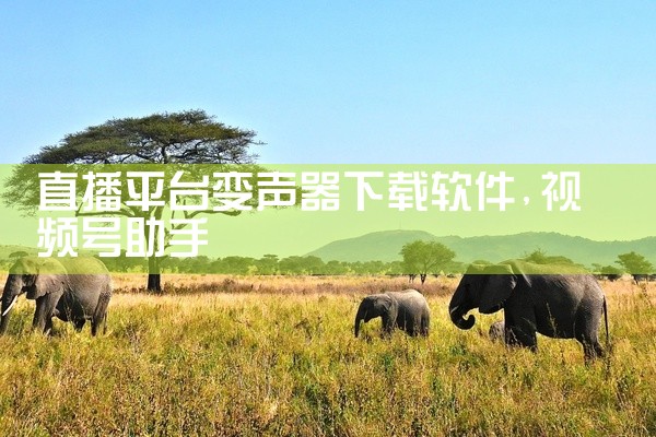 直播平台变声器下载软件