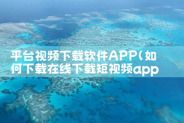 平台视频下载软件APP