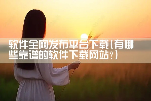 软件全网发布平台下载