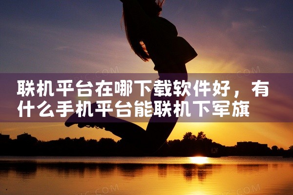 联机平台在哪下载软件好