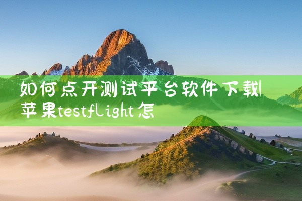 如何点开测试平台软件下载