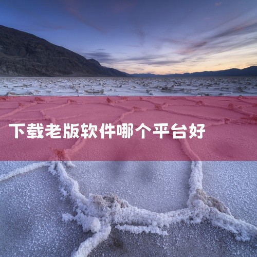 有不少软件可以用于下载老版本应用程序。比如“安智市场”，它提供了丰富的各类应用的历史版本下载。用户能在上面找到很多热门软件的旧版，像微信、抖音等，满足一些特定需求，比如部分用户可能觉得老版本微信的界面,