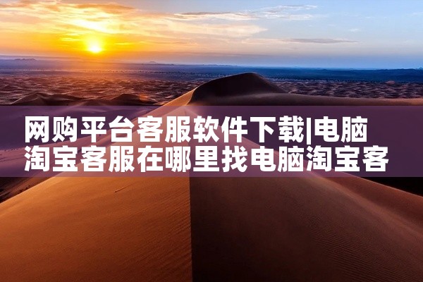 网购平台客服软件下载