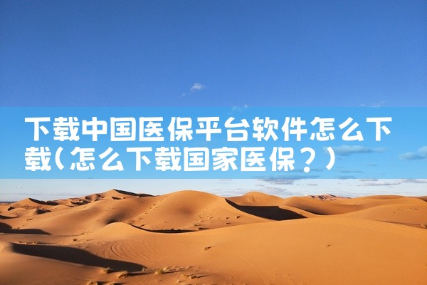 下载中国医保平台软件怎么下载