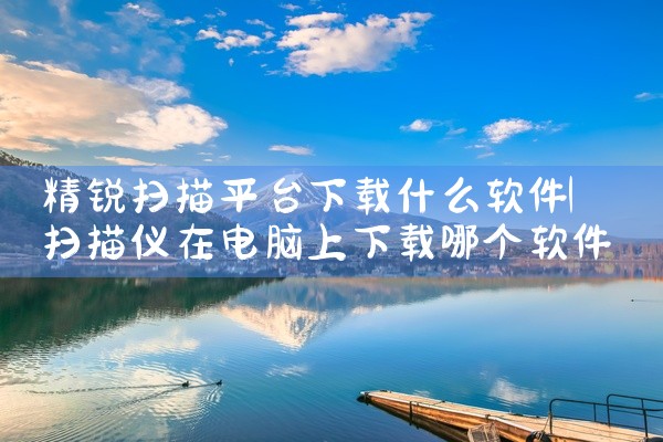精锐扫描平台下载什么软件