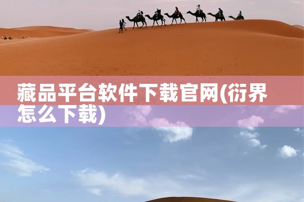 藏品平台软件下载官网